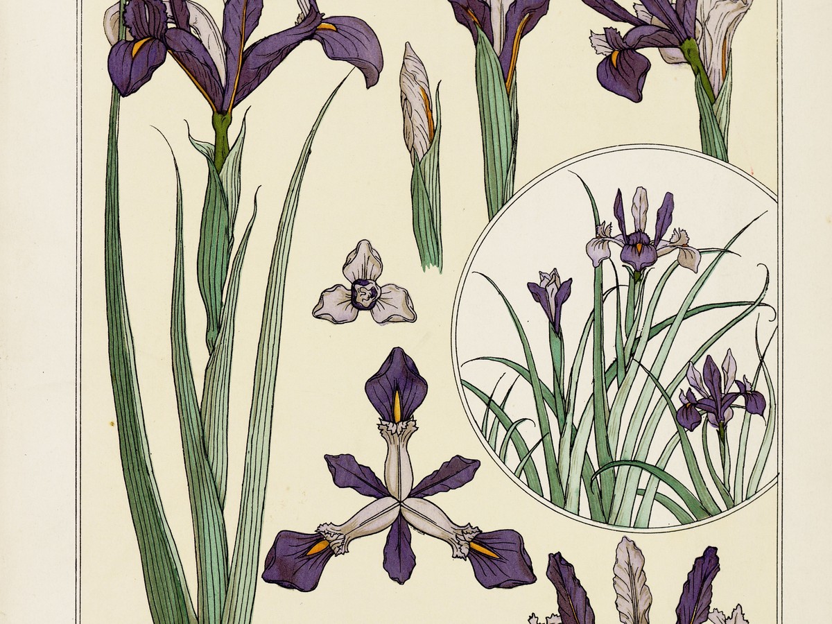エミール・ベルノー「様式化された花の装飾」花の部分ディテール