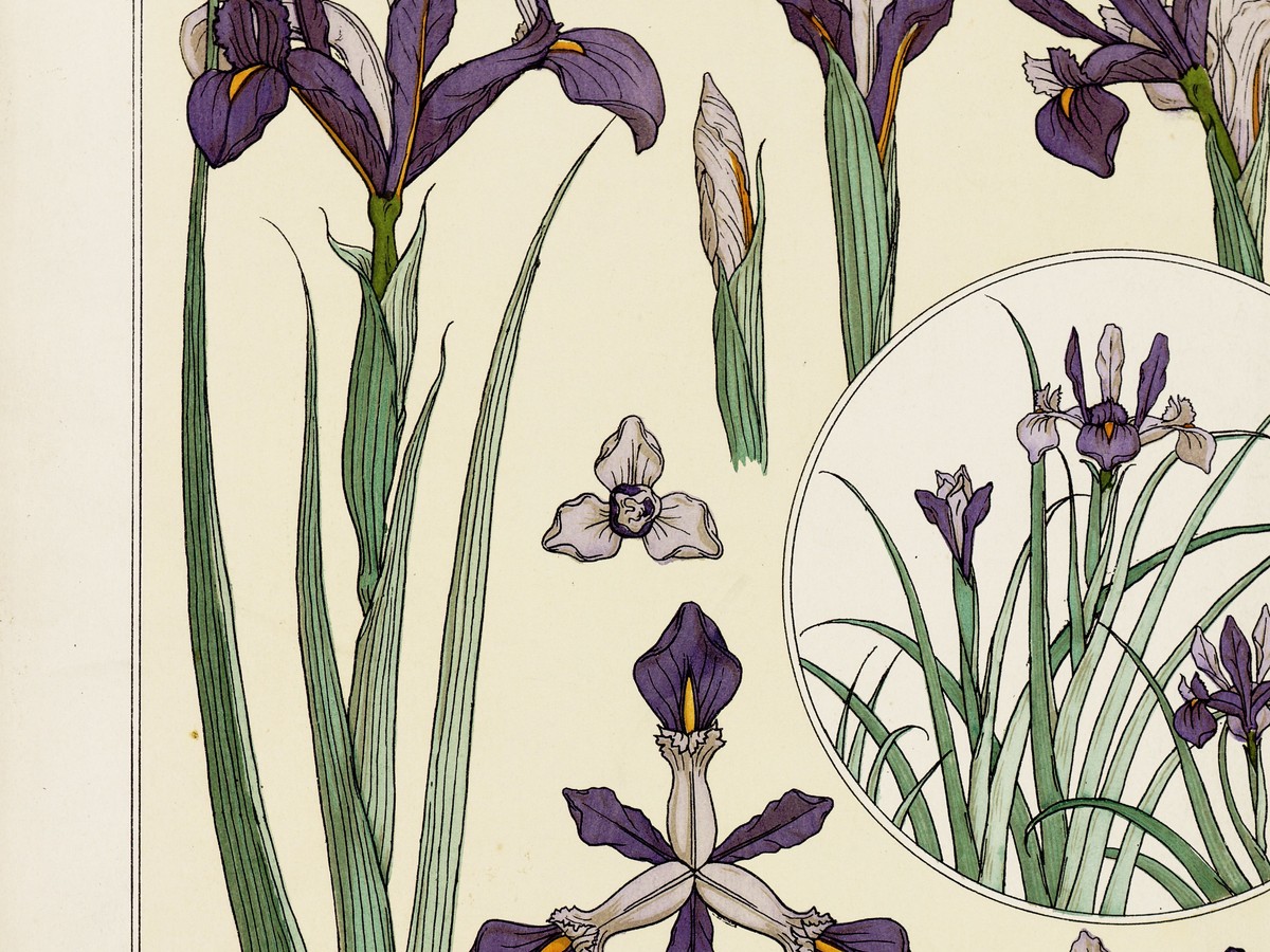 エミール・ベルノー「様式化された花の装飾」(1898年頃)植物モチーフのディテール——オルセー美術館所蔵