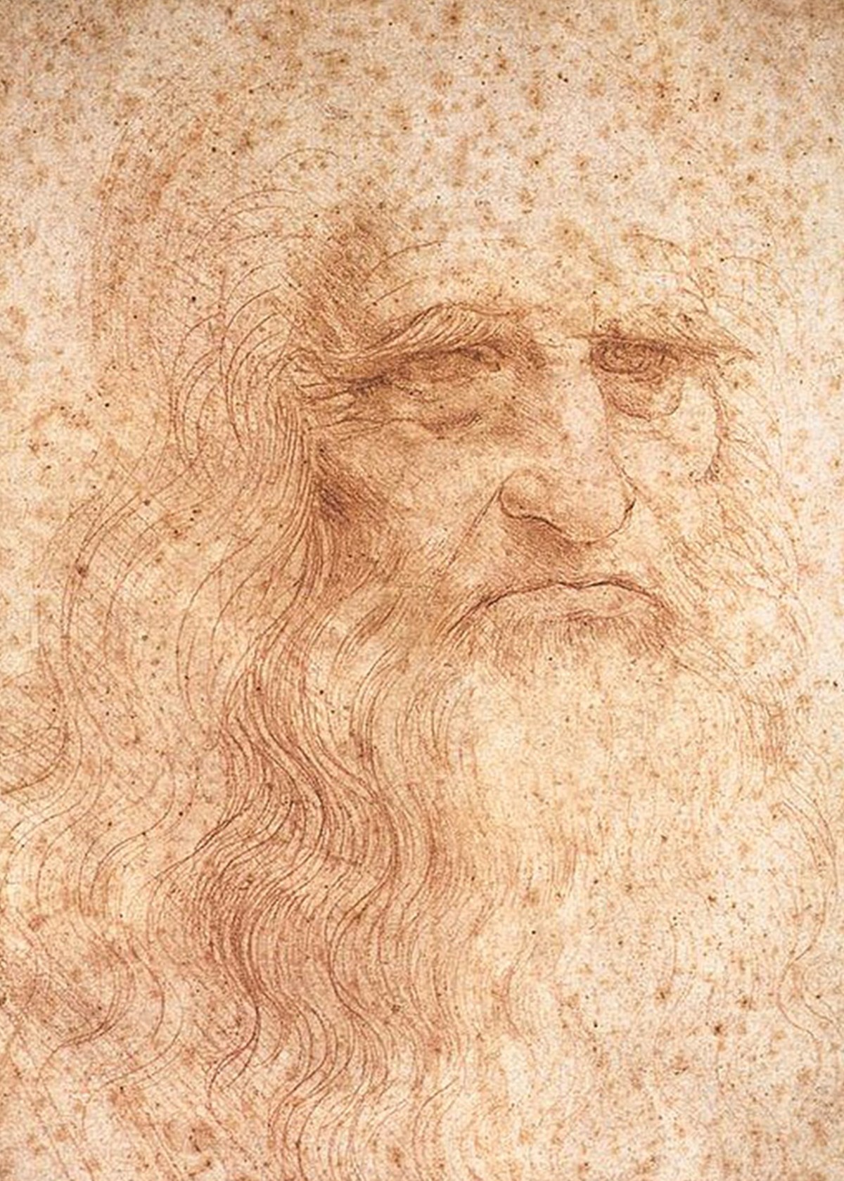 レオナルド・ダ・ヴィンチ「自画像」(1510〜15年頃)顔の表情のディテール——トリノ王立図書館所蔵
