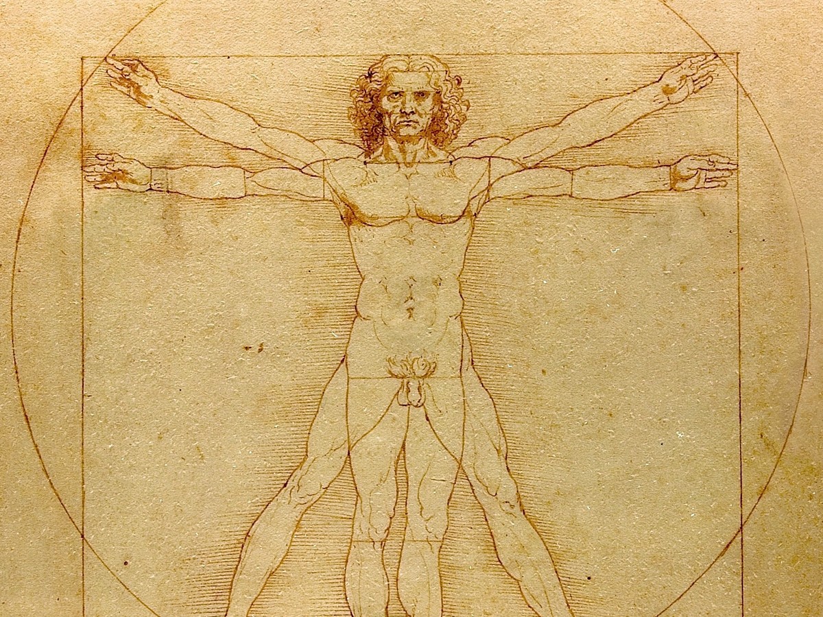 レオナルド・ダ・ヴィンチ「ウィトルウィウス的人体図」幾何学構成のディテール