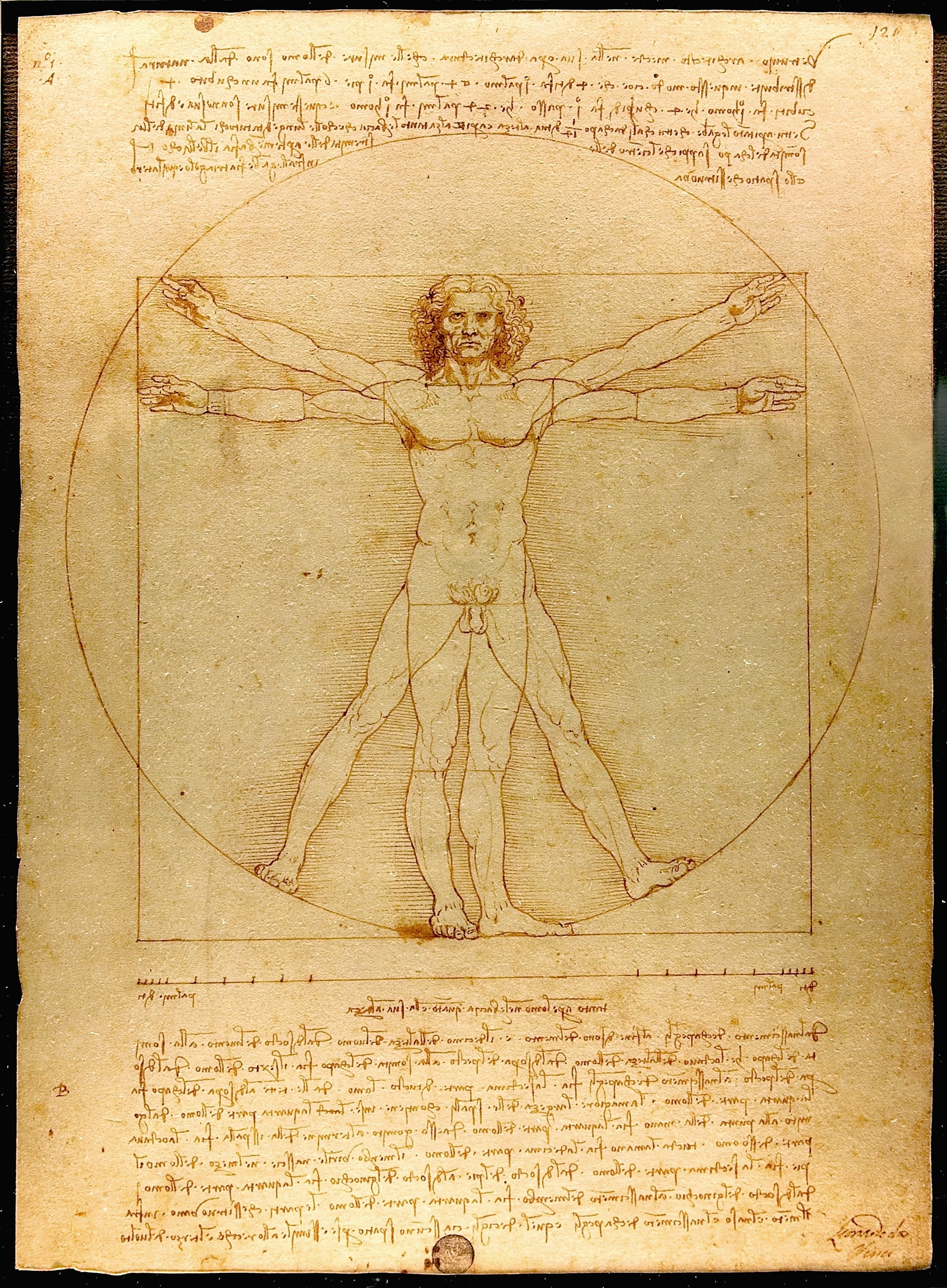 レオナルド・ダ・ヴィンチ「ウィトルウィウス的人体図」（1492年頃）ヴェネツィア・アッカデミア美術館所蔵