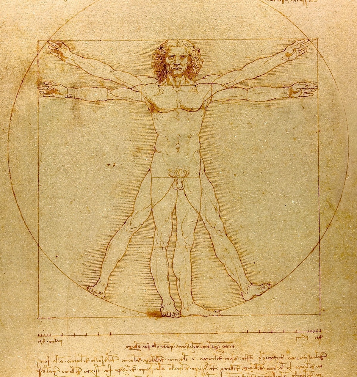 レオナルド・ダ・ヴィンチ「ウィトルウィウス的人体図」（1492年頃）円と正方形に内接する人体