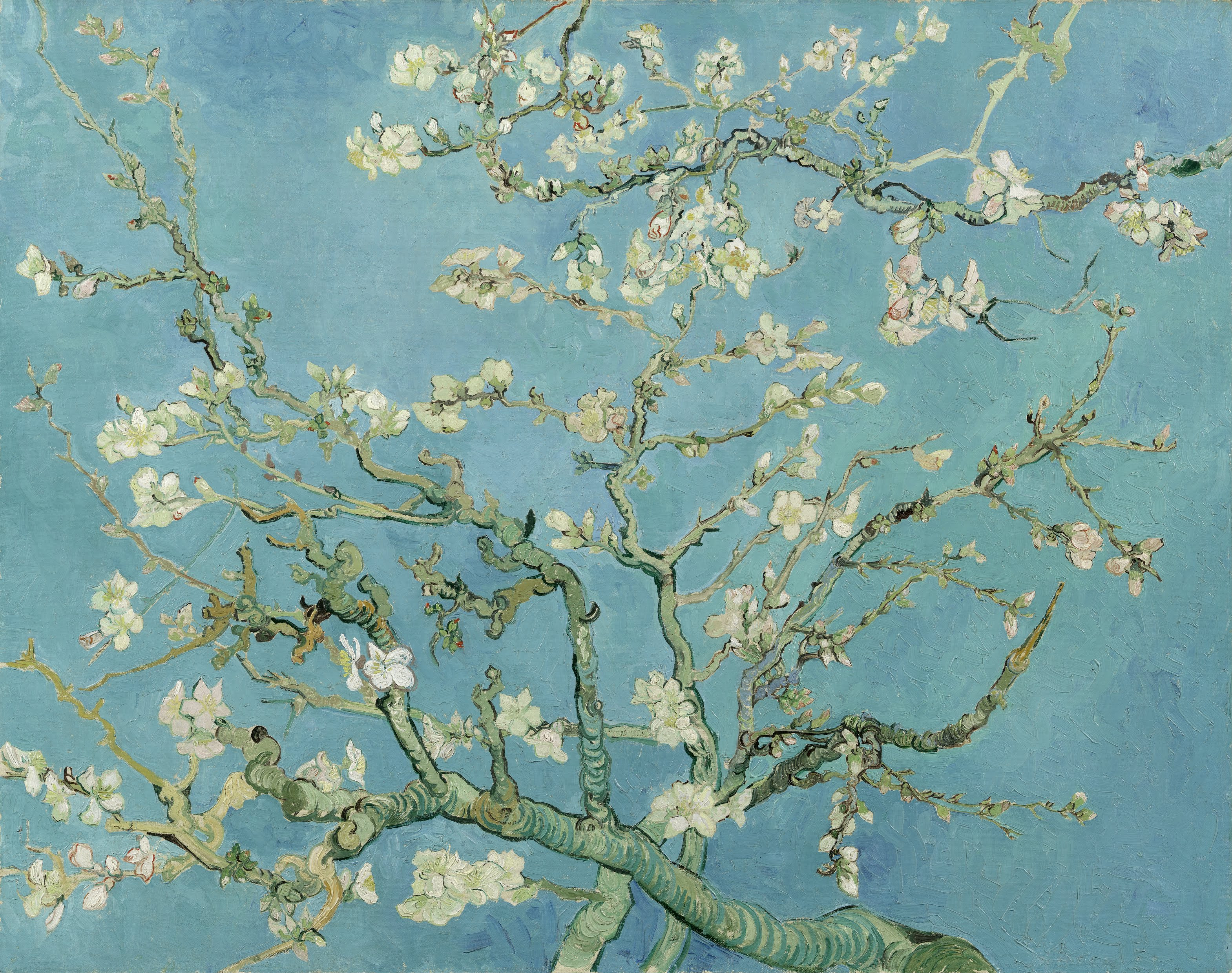 フィンセント・ファン・ゴッホ「アーモンドの花」(1890年)アムステルダム・ゴッホ美術館所蔵