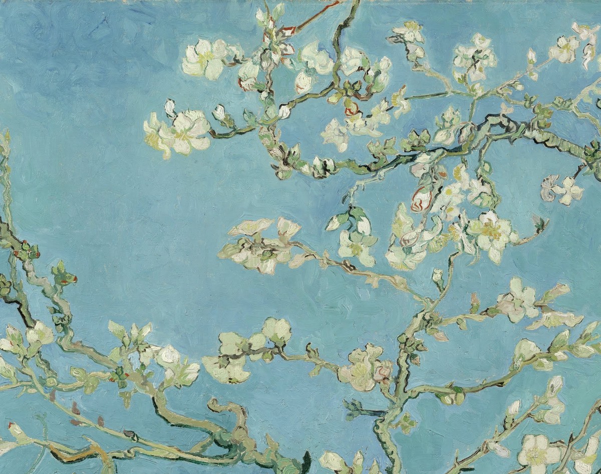 ゴッホ「アーモンドの花」(1890年)花と枝のディテール——ゴッホ美術館所蔵