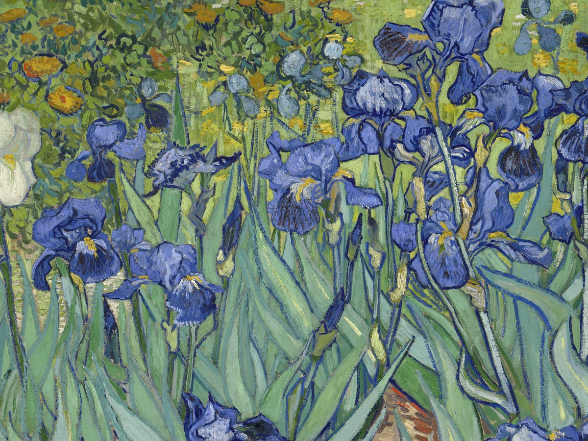 フィンセント・ファン・ゴッホ「アイリス」(1889年5月)——青紫の花々のディテール