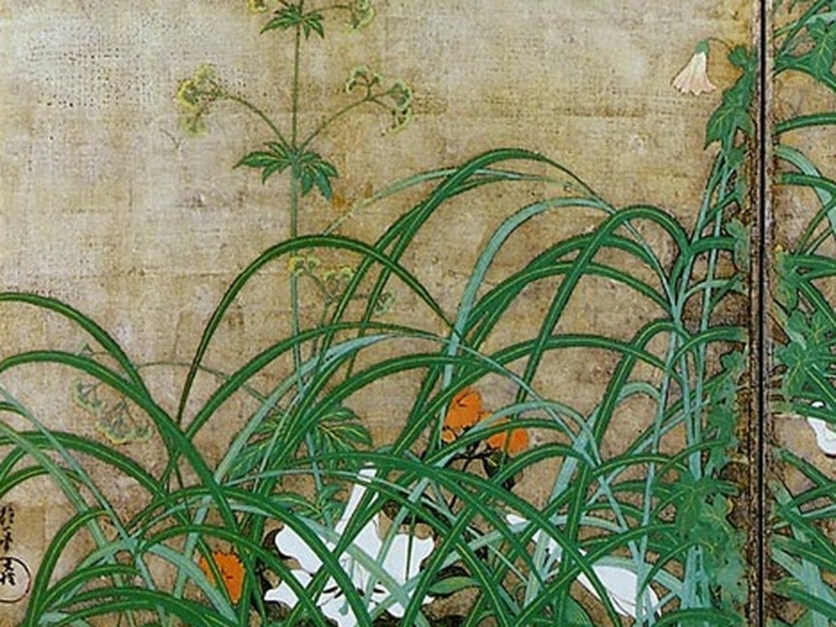 酒井抱一「夏秋草図屏風」右隻——雨に打たれた夏草のディテール