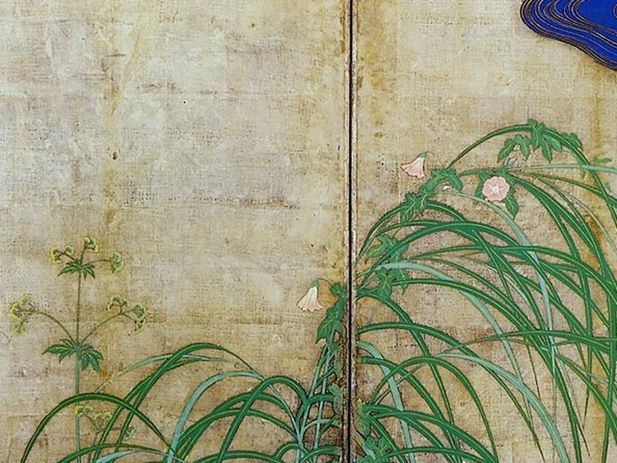 酒井抱一「夏秋草図屏風」右隻（江戸時代）雨に打たれた夏草のディテール