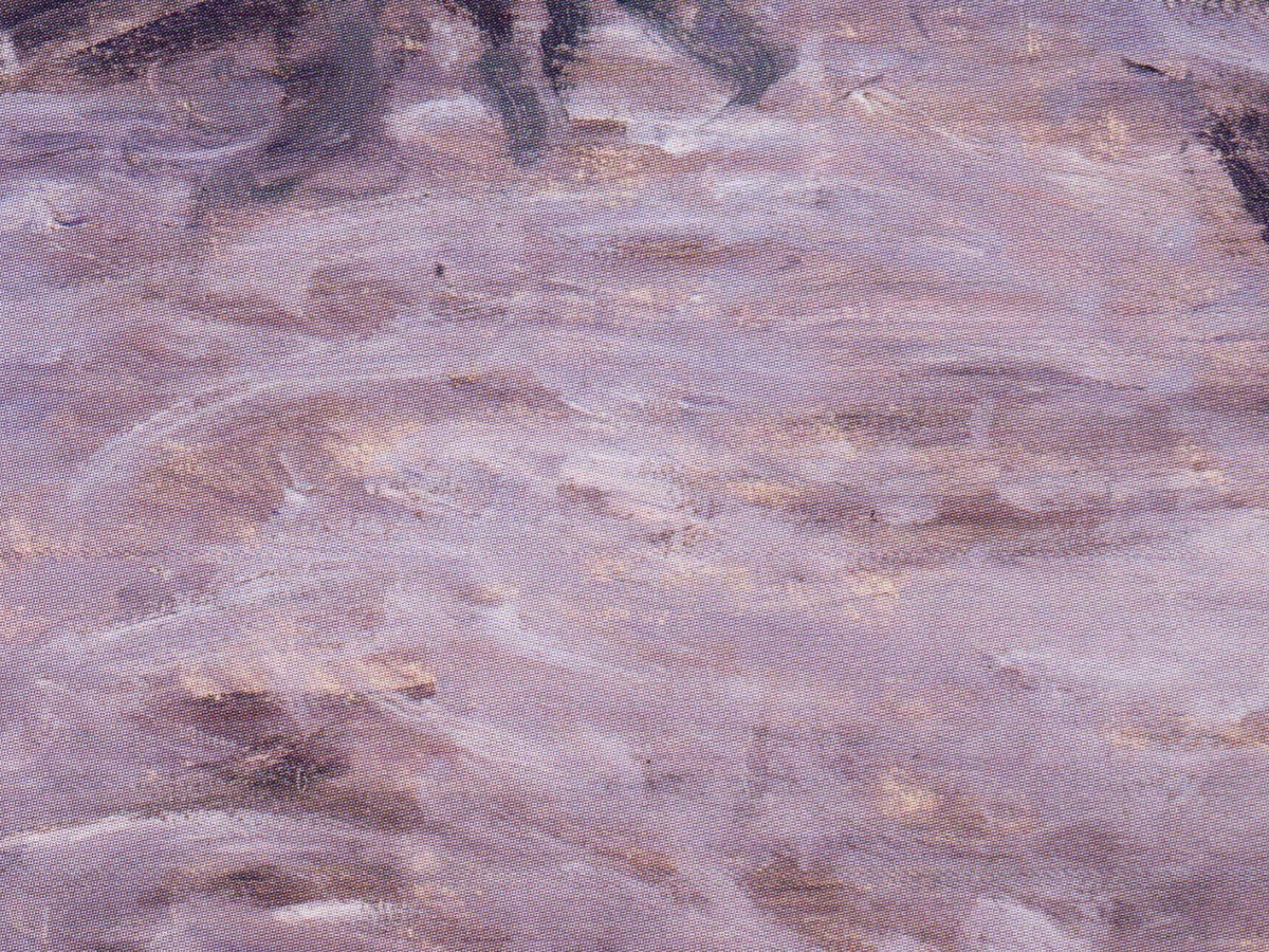 モネ「死の床のカミーユ」粗い筆触のディテール