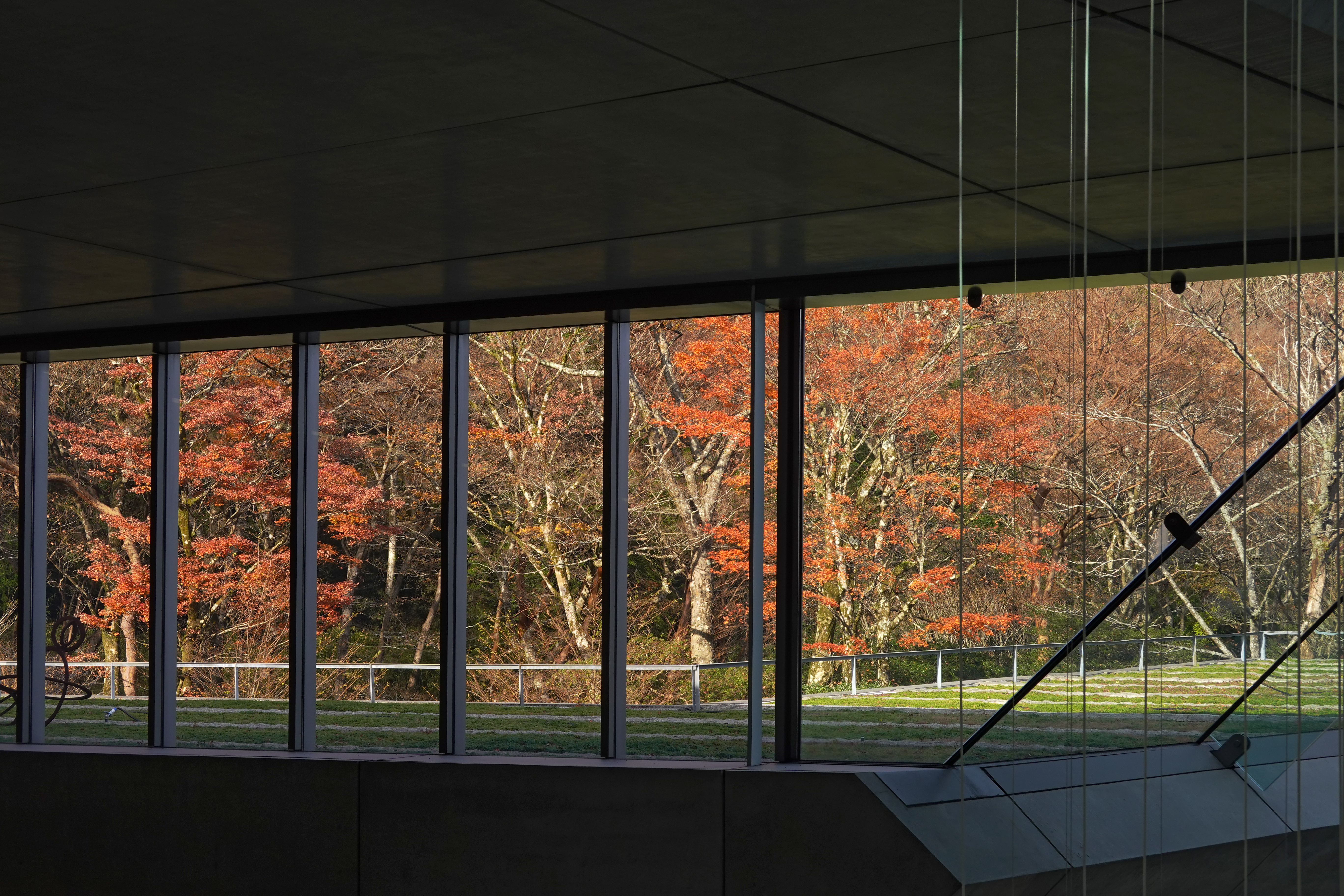 ポーラ美術館の展示室内——大型のガラス窓から秋の箱根の紅葉が目に飛び込んでくる