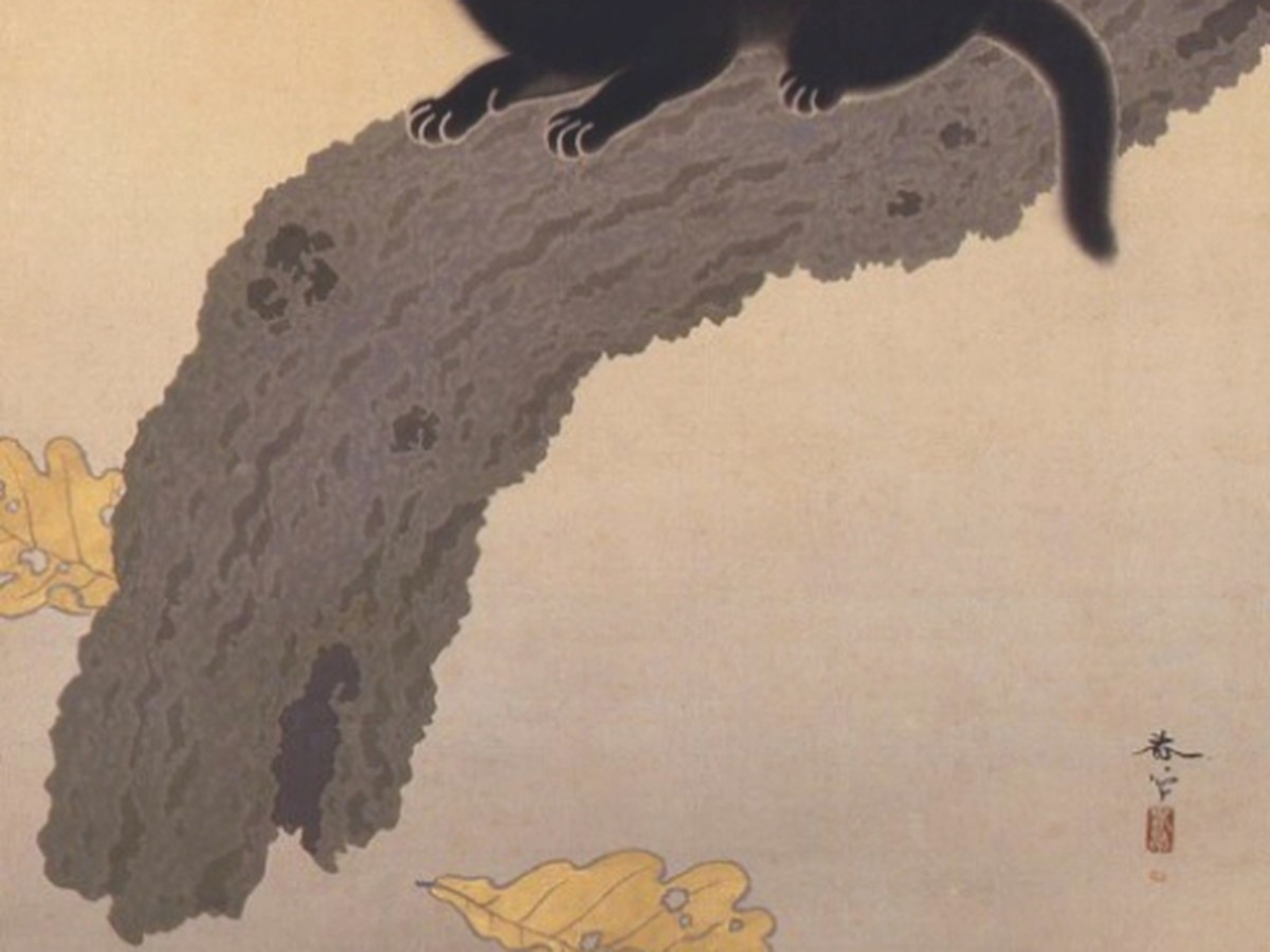 菱田春草「黒き猫」(1910年)猫の爪と柏の枝のディテール