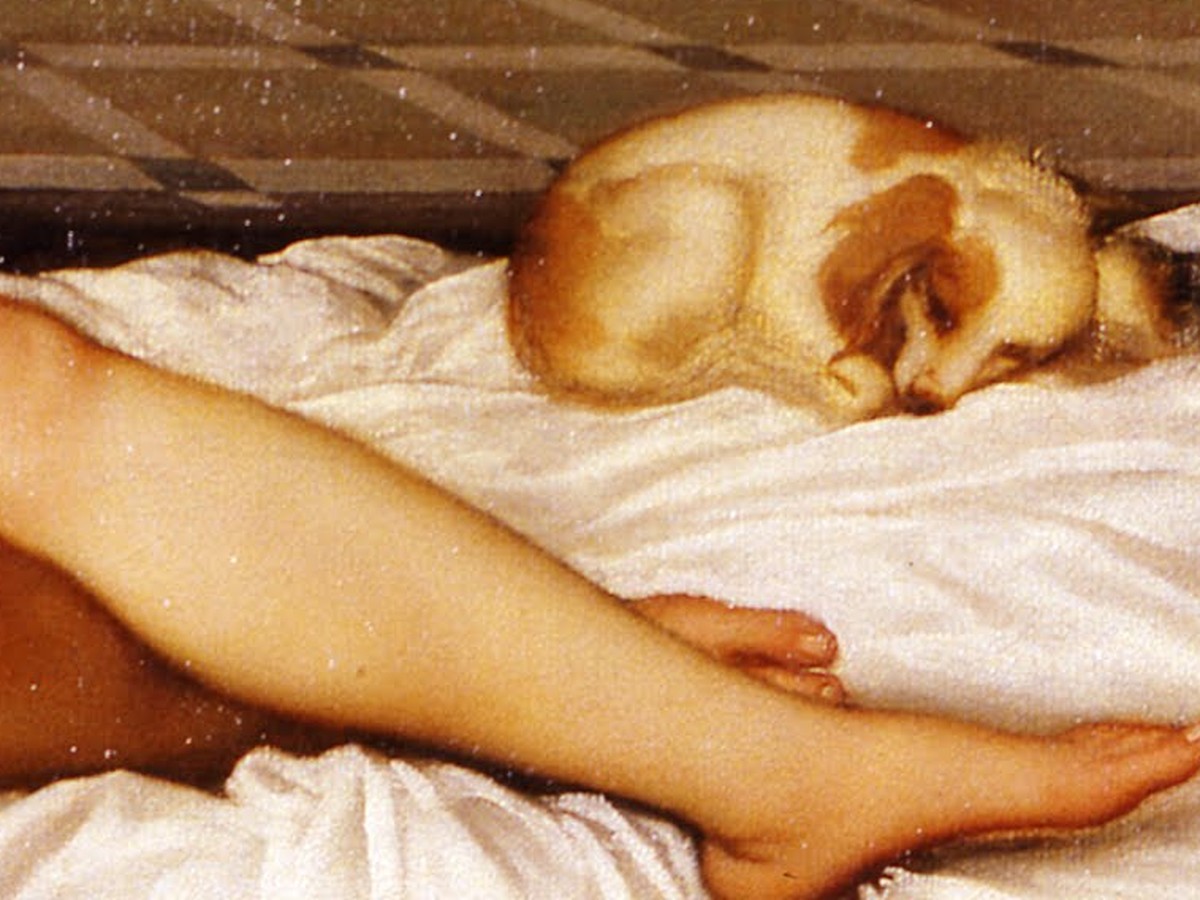 ティツィアーノ「ウルビーノのヴィーナス」——足もとで眠る犬のディテール