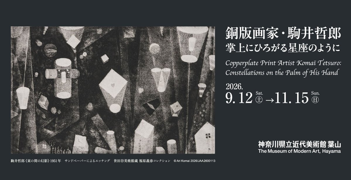 銅版画家・駒井哲郎 掌上にひろがる星座のように（神奈川県立近代美術館 葉山）のポスター