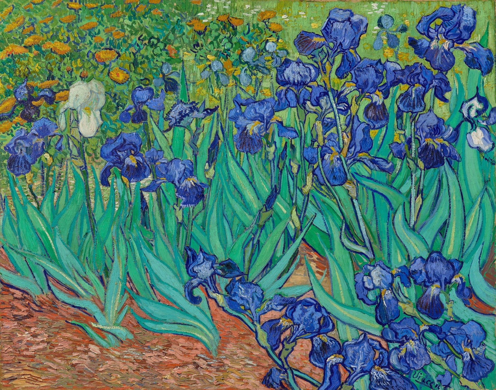 Van Gogh Irises | Museum Box - 世界の美術館グッズ通販